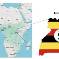 Uganda Real Estate Market Trends in 2026