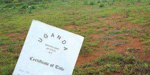 How to Buy Land in Uganda Safely